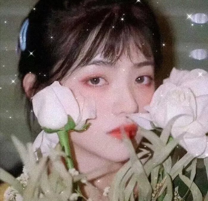 客人是王