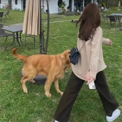 遥远的他